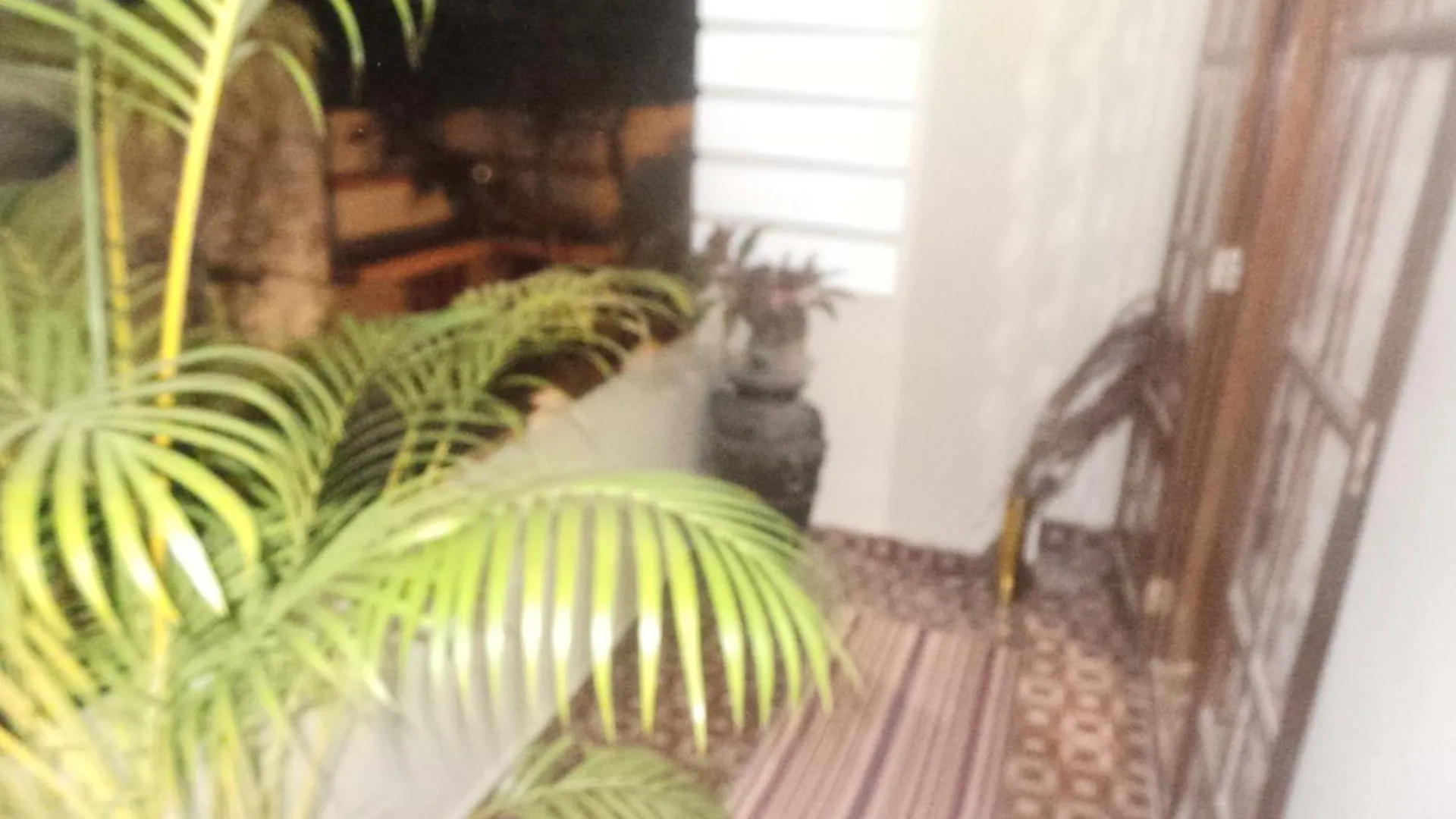 Kochi Mamamariya Home Stay 0*,  הודו