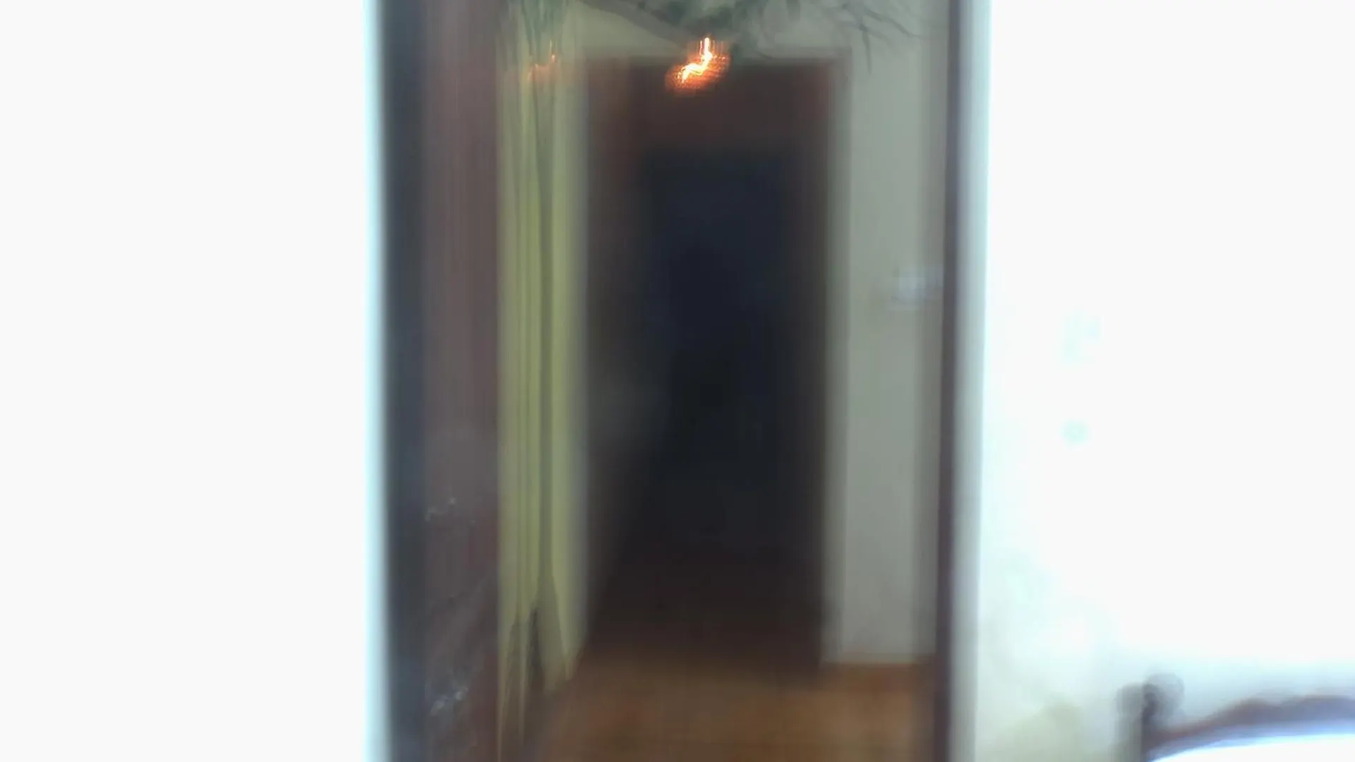 Kochi Mamamariya Home Stay